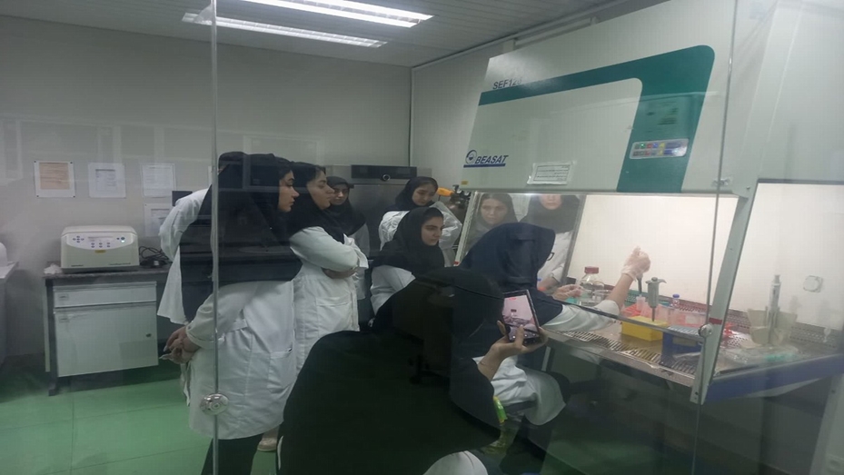 برگزاری کارگاه های مرکز در تیرماه